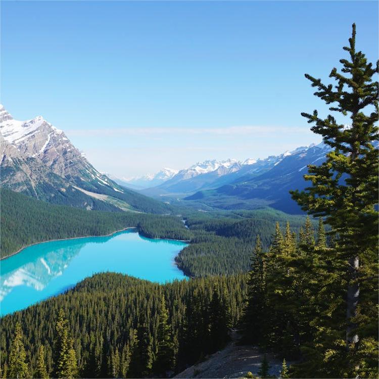 加拿大安省雇主担保移民